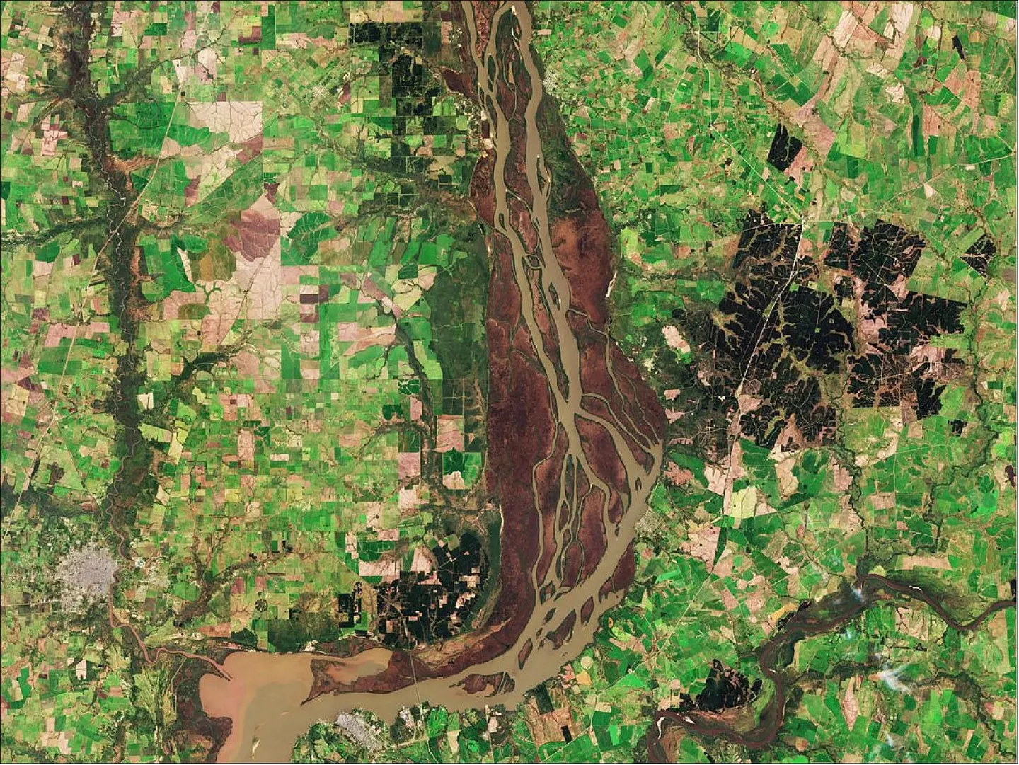 Farmland and a river delta from orbit
